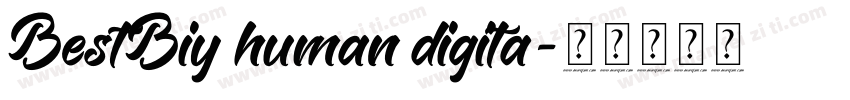 BestBiy human digita字体转换